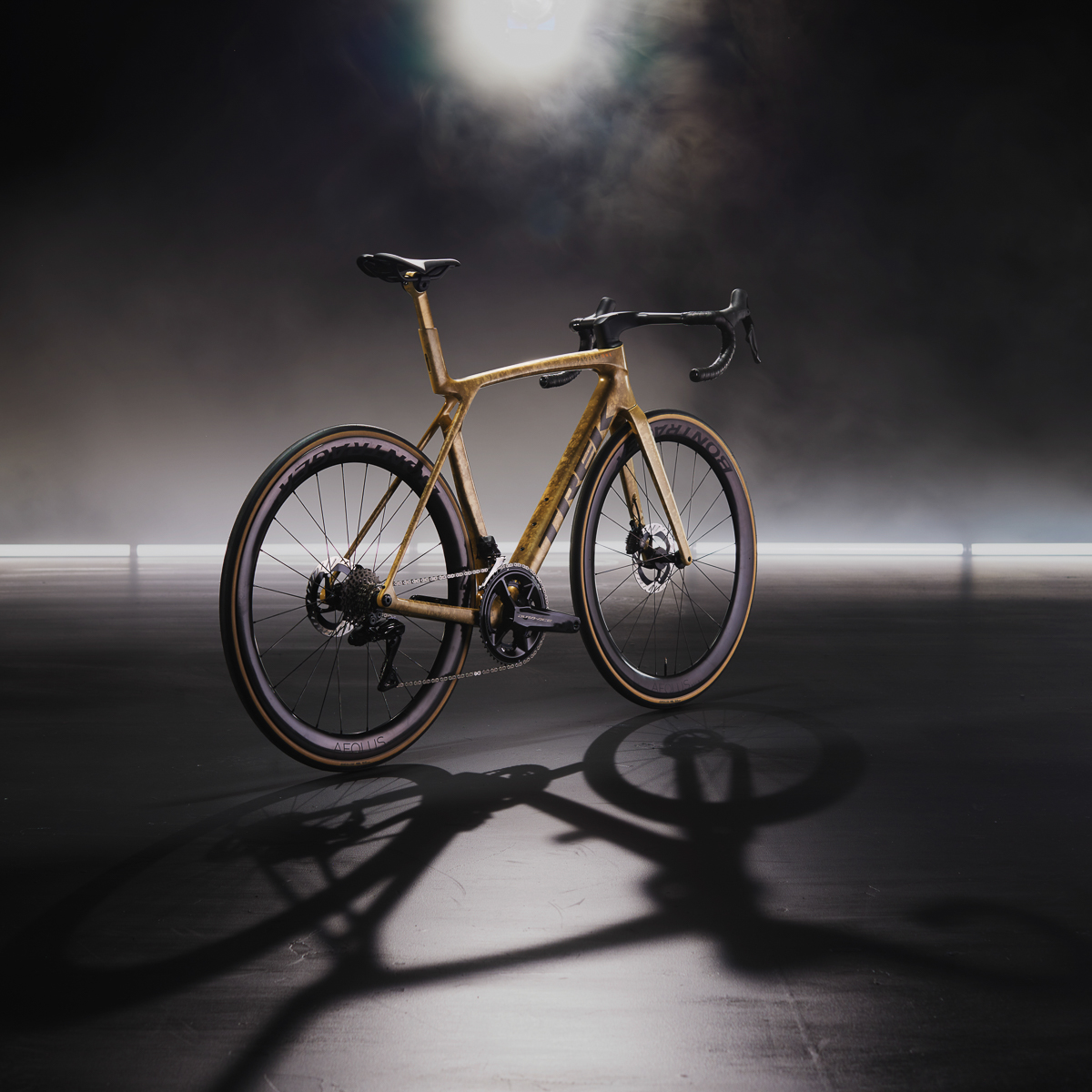 2024-03-27_Madone8_P1_ICON_Gold_rear5187_02.jpg