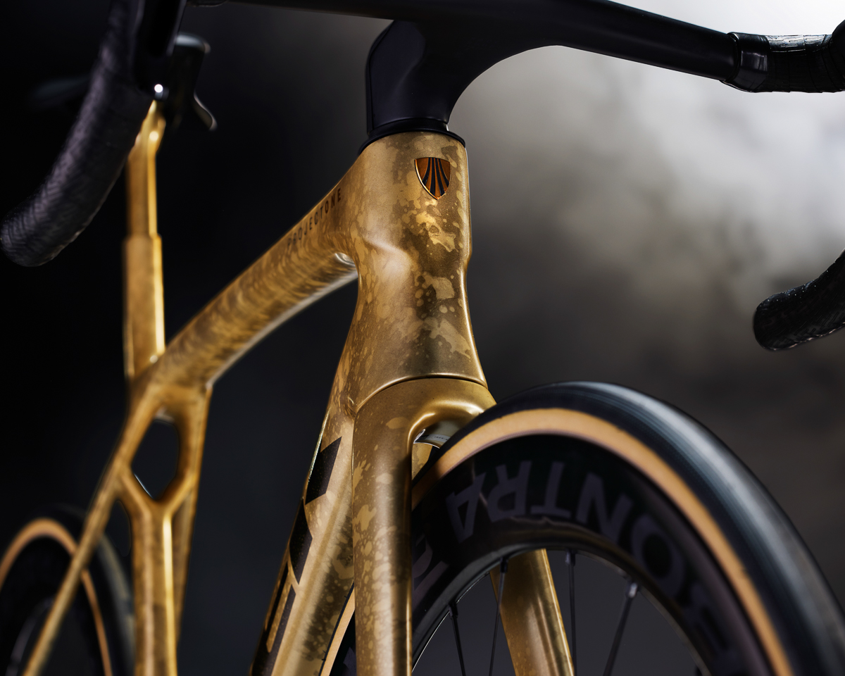 2024-03-27_Madone8_P1_ICON_Gold_CU-Headtube_7_02.jpg